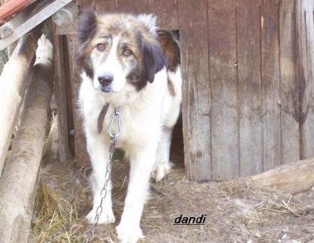 Прикачена снимка