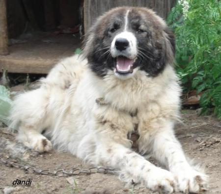 Прикачена снимка