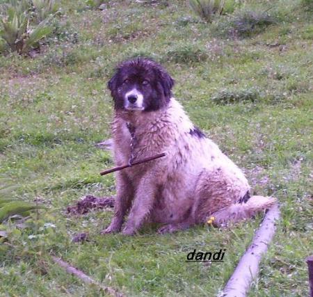 Прикачена снимка