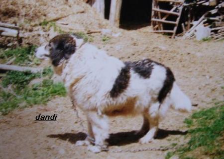 Прикачена снимка