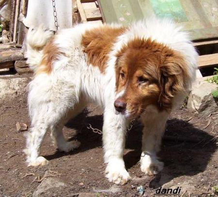 Прикачена снимка