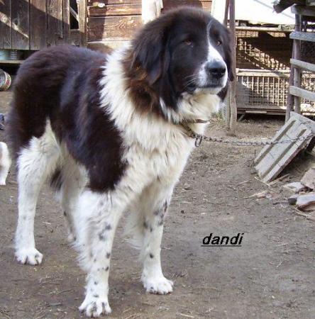 Прикачена снимка