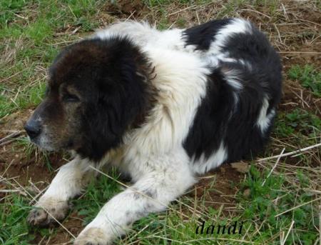 Прикачена снимка