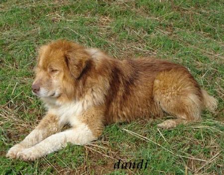 Прикачена снимка