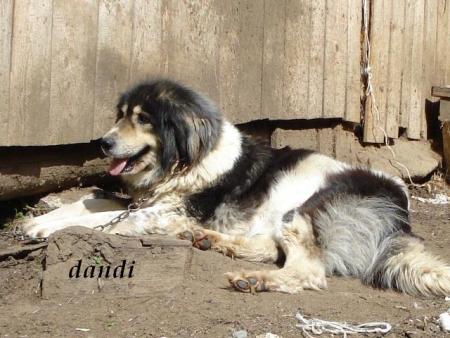 Прикачена снимка