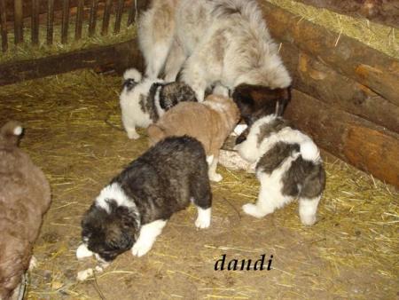 Прикачена снимка