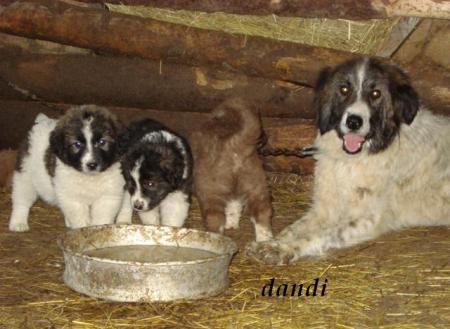 Прикачена снимка