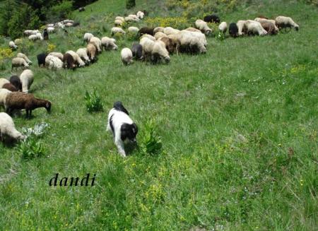 Прикачена снимка