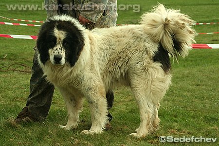 Прикачена снимка