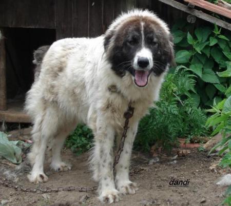 Прикачена снимка