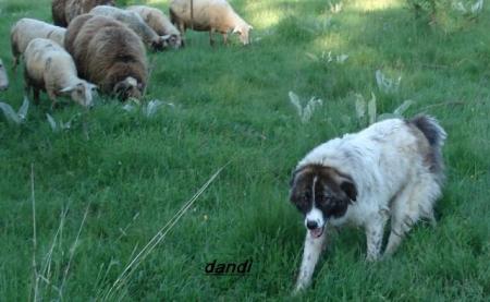 Прикачена снимка