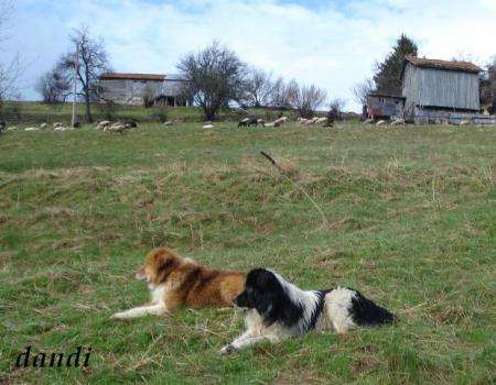 Прикачена снимка