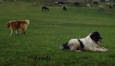 Прикачена снимка