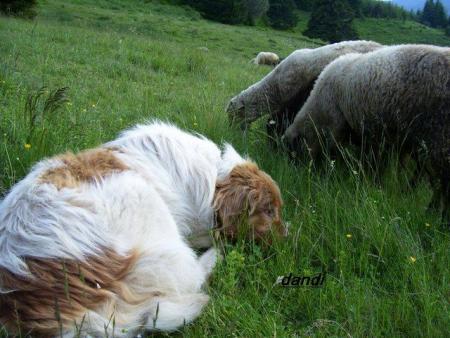 Прикачена снимка