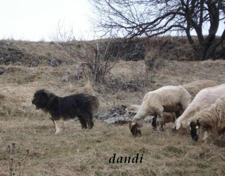 Прикачена снимка