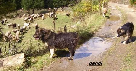 Прикачена снимка