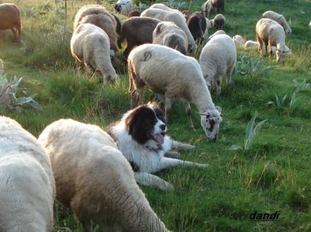 Прикачена снимка