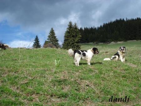 Прикачена снимка