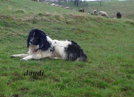 Прикачена снимка