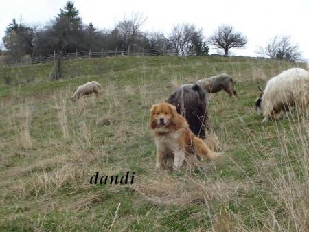 Прикачена снимка