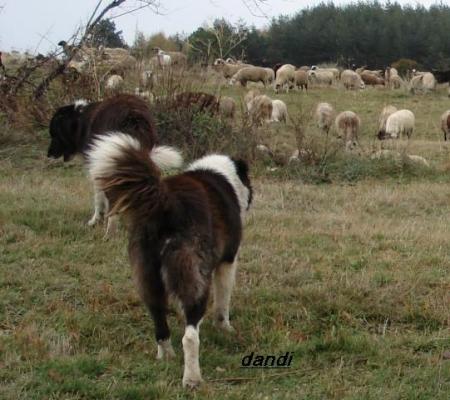 Прикачена снимка