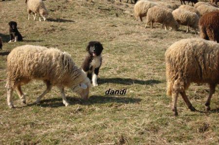 Прикачена снимка