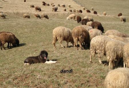 Прикачена снимка