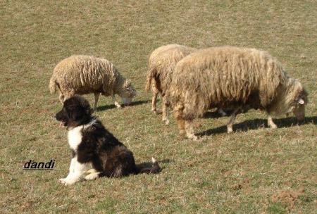 Прикачена снимка