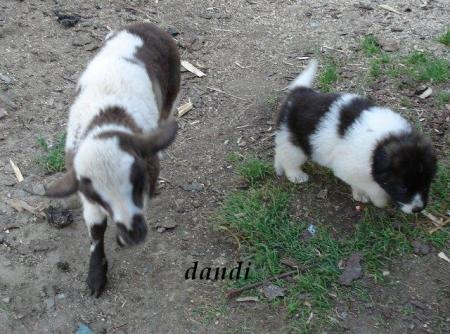 Прикачена снимка