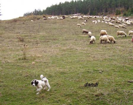 Прикачена снимка