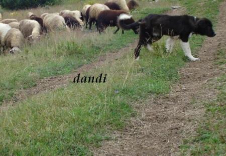 Прикачена снимка