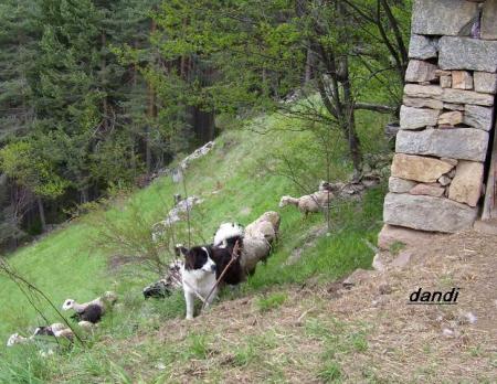 Прикачена снимка