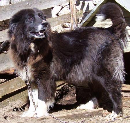 Прикачена снимка