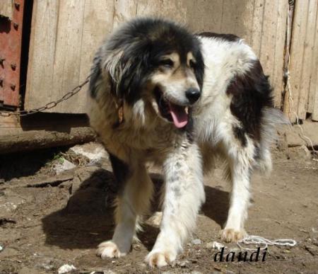 Прикачена снимка