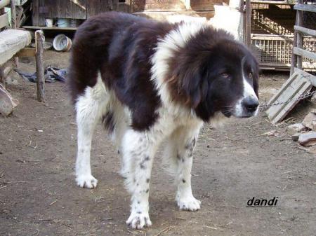 Прикачена снимка