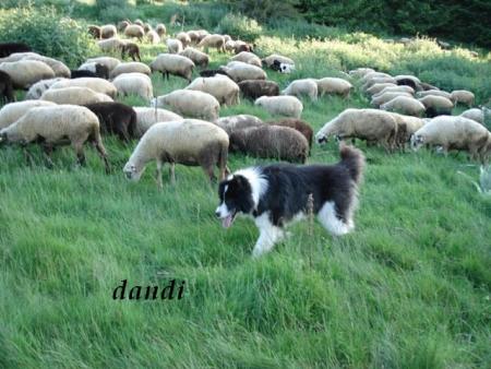 Прикачена снимка