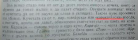 Прикачена снимка