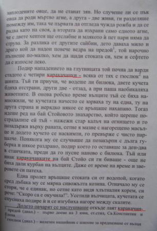 Прикачена снимка