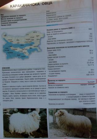 Прикачена снимка