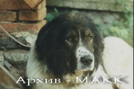 Прикачена снимка