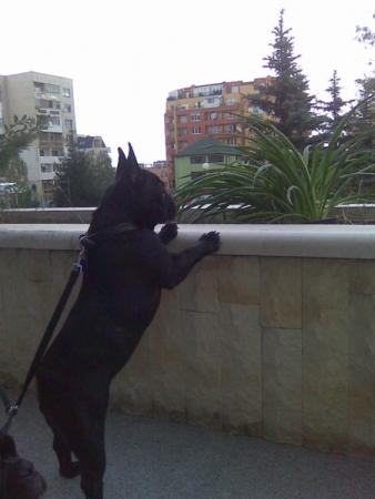 Прикачена снимка