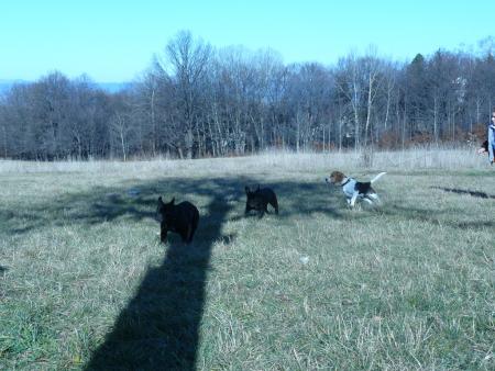 Прикачена снимка