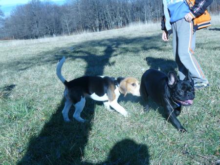 Прикачена снимка