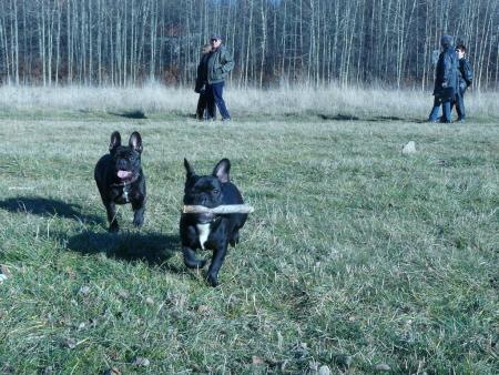 Прикачена снимка