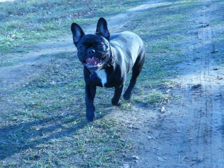 Прикачена снимка