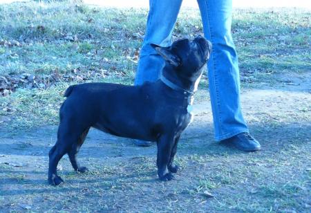 Прикачена снимка