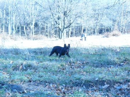 Прикачена снимка