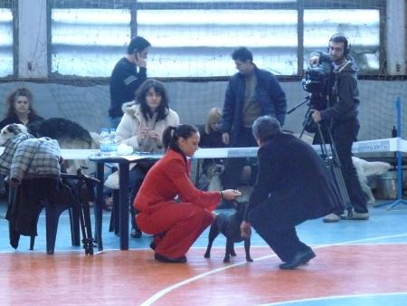 Прикачена снимка