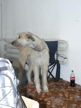 Прикачена снимка