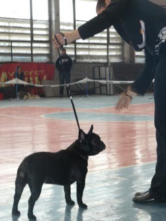 Прикачена снимка